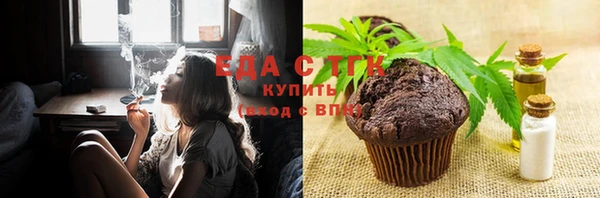 индика Алексин