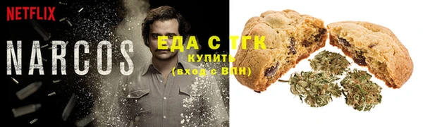 индика Алексин