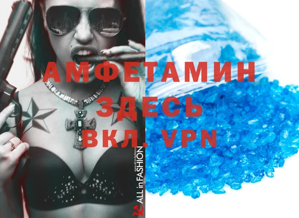 индика Алексин