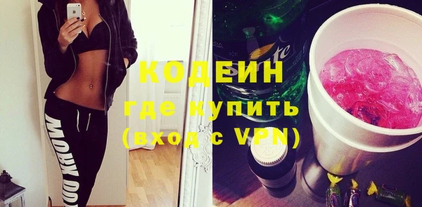 индика Армянск