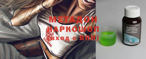 индика Алексин