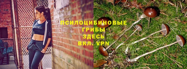 винт Алексеевка