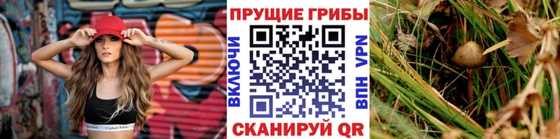 Галлюциногенные грибы GOLDEN TEACHER Ефремов