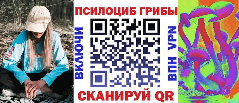 Галлюциногенные грибы GOLDEN TEACHER купить Ефремов